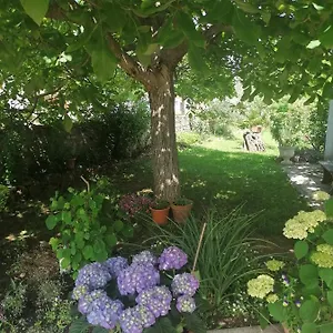  Appartement Vellico